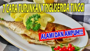 Cara Menurunkan Trigliserida Secara Alami Panduan Lengkap Untuk Kesehatan Optimal
