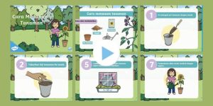 Membangun Keterampilan Hijau Sejak Dini Panduan Lengkap Cara Mengajarkan Anak Cara Menanam Tanaman Di Pot Kecil