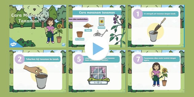 Membangun Keterampilan Hijau Sejak Dini Panduan Lengkap Cara Mengajarkan Anak Cara Menanam Tanaman Di Pot Kecil